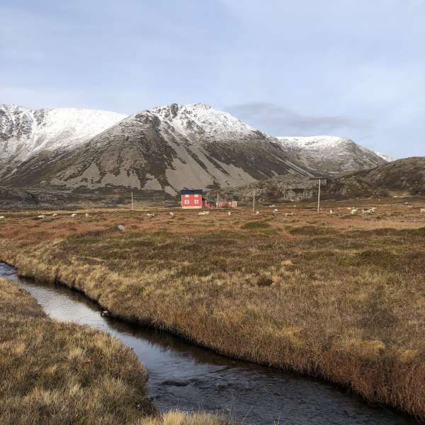 Norsk bjergpanorama