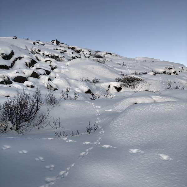 Vinter i Norge