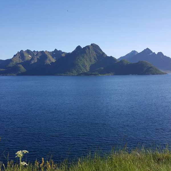 Fjeldene på Lofoten