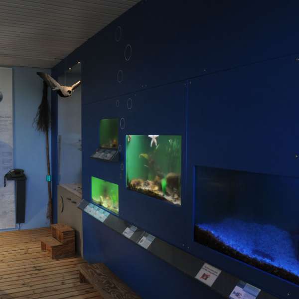 Akvarierne på Naturzentrum Amrum